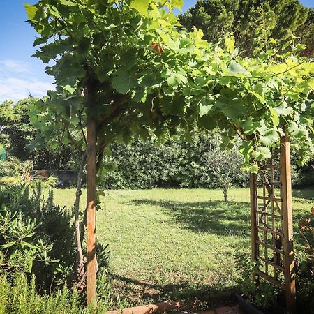 Orangeraie Du Cap D'Antibes Apartman Kültér fotó